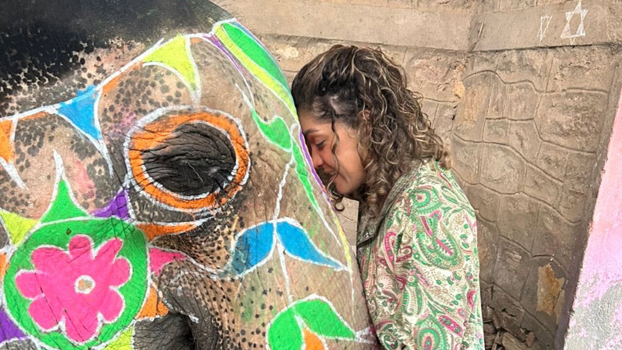 Cuidados de elefante y enseñanzas