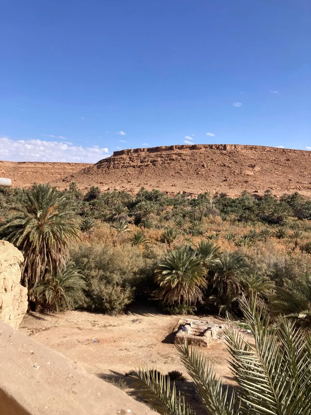 Vista del palmeral y el paisaje de Kasr Tarda, donde se desarrolla el voluntariado en Marruecos