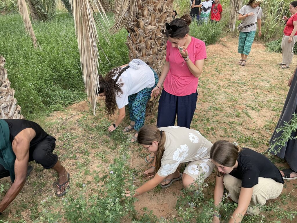 Voluntarios colaborando en una actividad comunitaria en Kasr Tarda, Marruecos