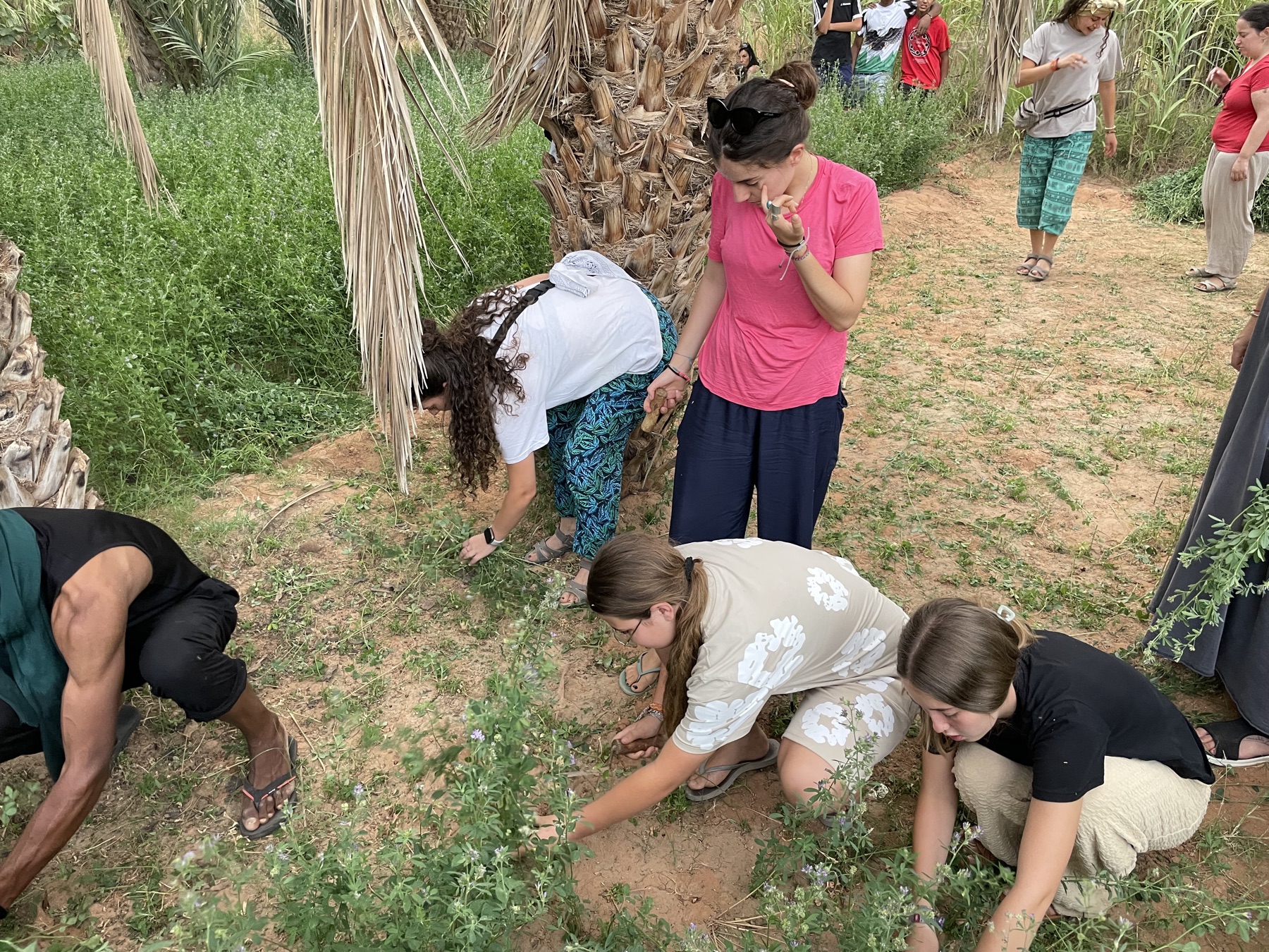 Voluntarios colaborando en una actividad comunitaria en Kasr Tarda